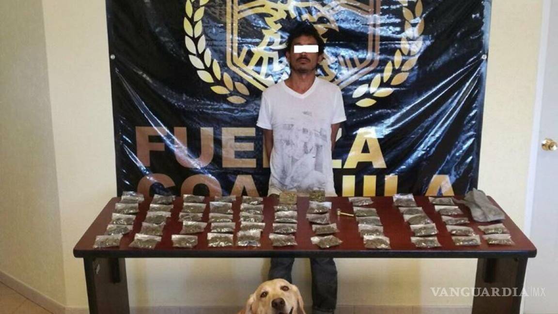 Perro de Fuerza Coahuila 'sonríe' tras capturar a narcomenudista