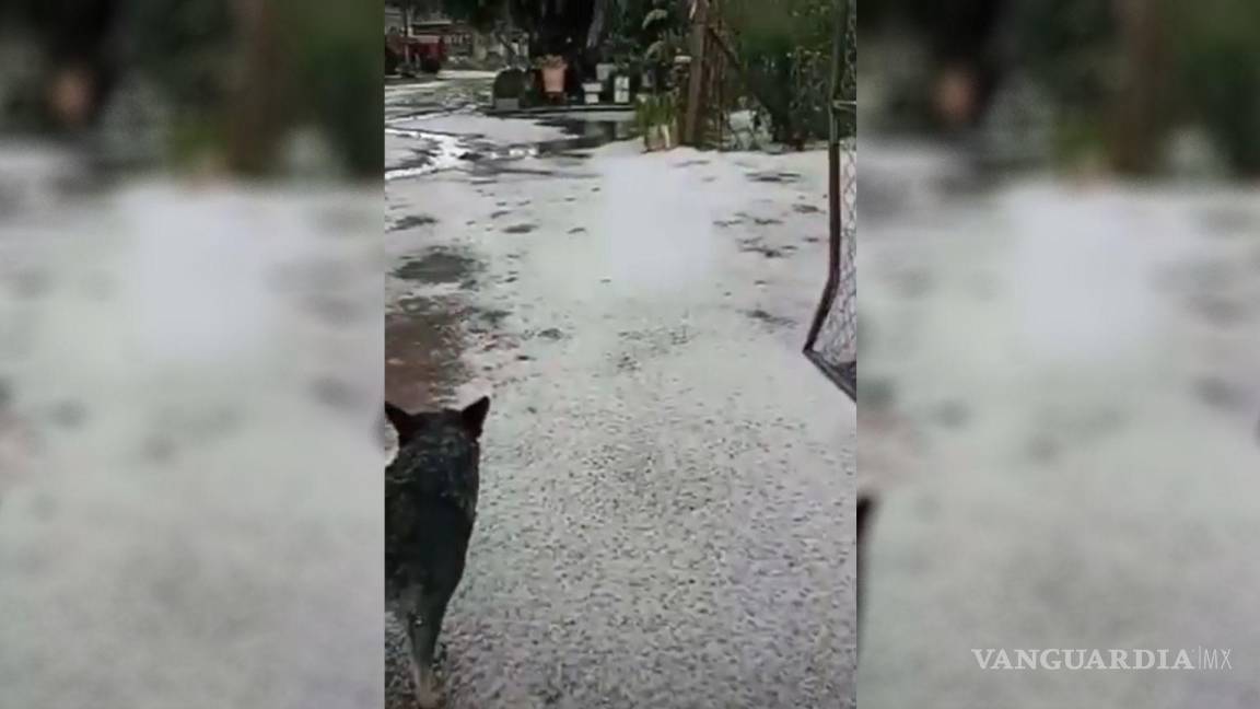 Se registra lluvia y granizo en San Antonio de las Alazanas, Arteaga
