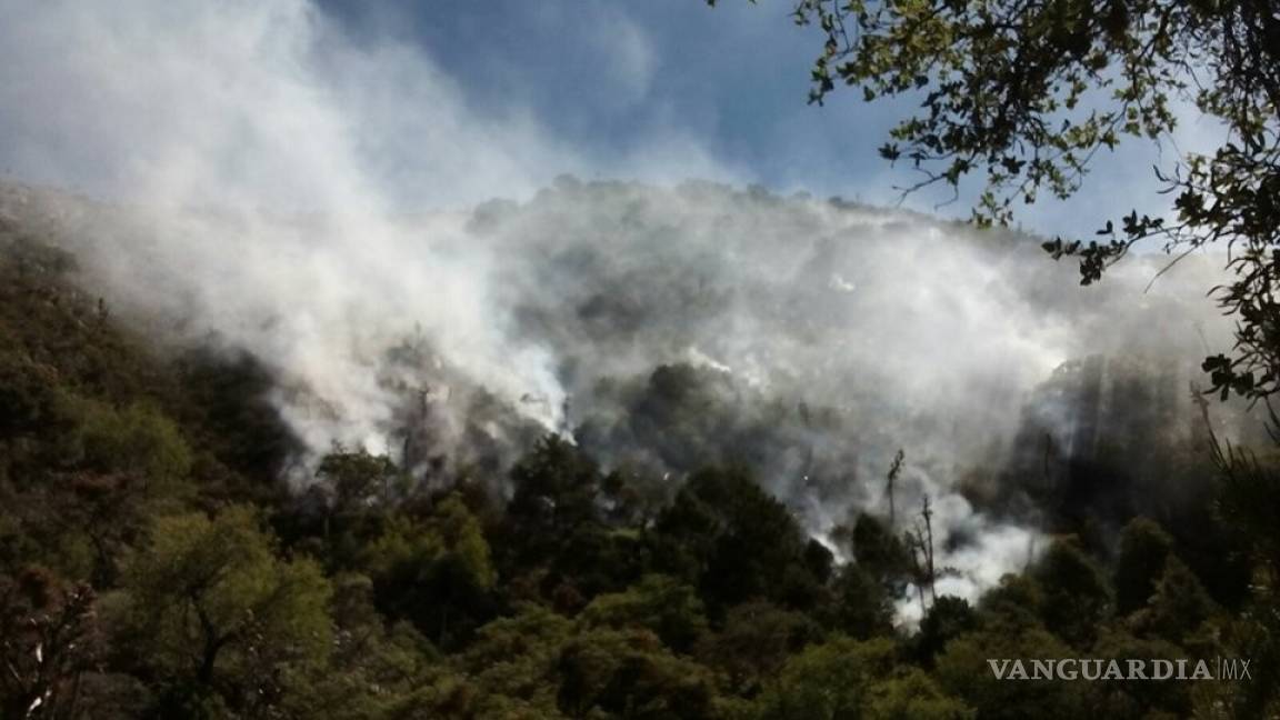 Suman ya 180 hectáreas consumidas por incendio en Sierra de Arteaga
