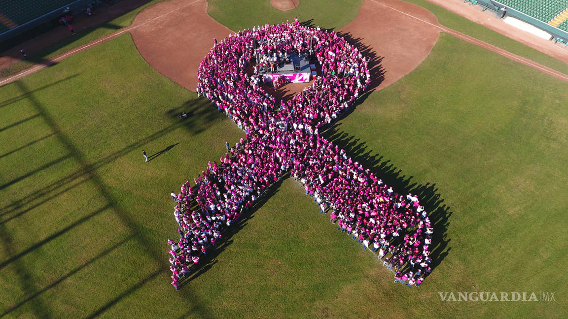 $!Forman gigante lazo rosa como símbolo de lucha contra el cáncer en Saltillo