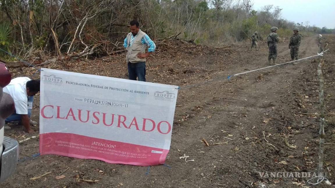Aplicará Profepa millonaria sanción por cambio ilegal de uso de suelo en predios de Sierra Mojada, Coahuila
