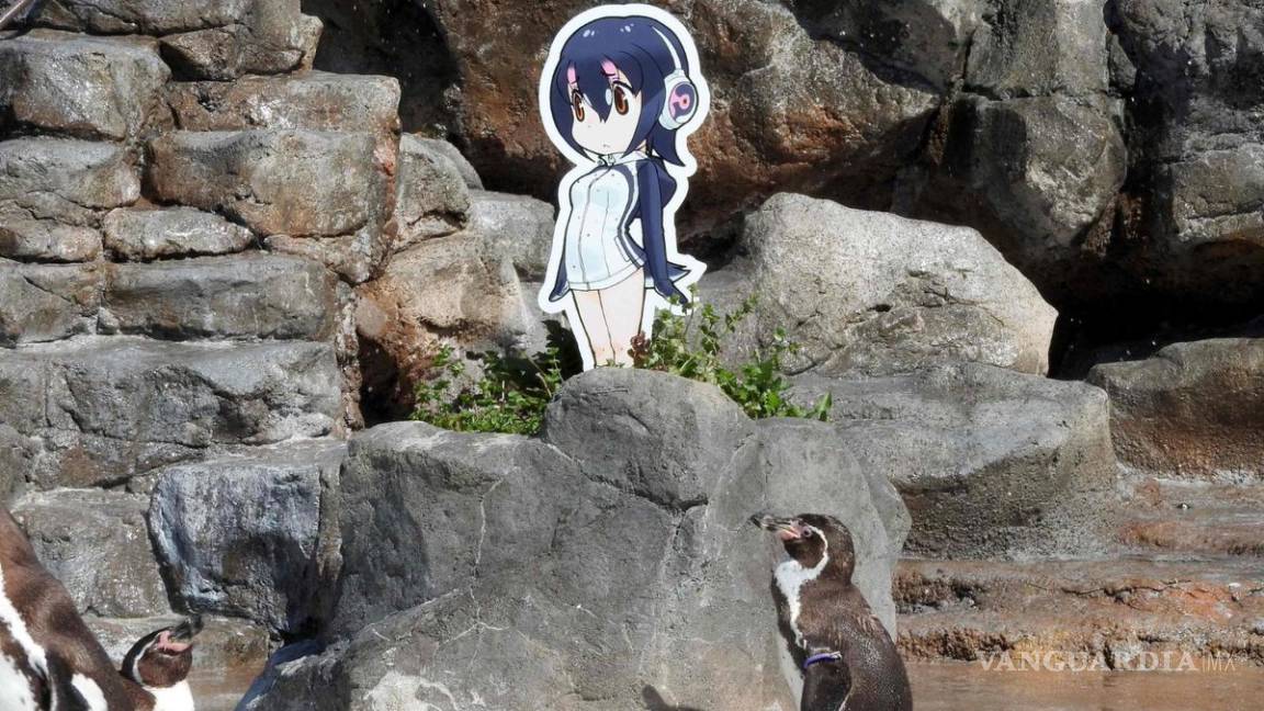 Murió Grape-Kun, el pingüino que se enamoró de una chica animé