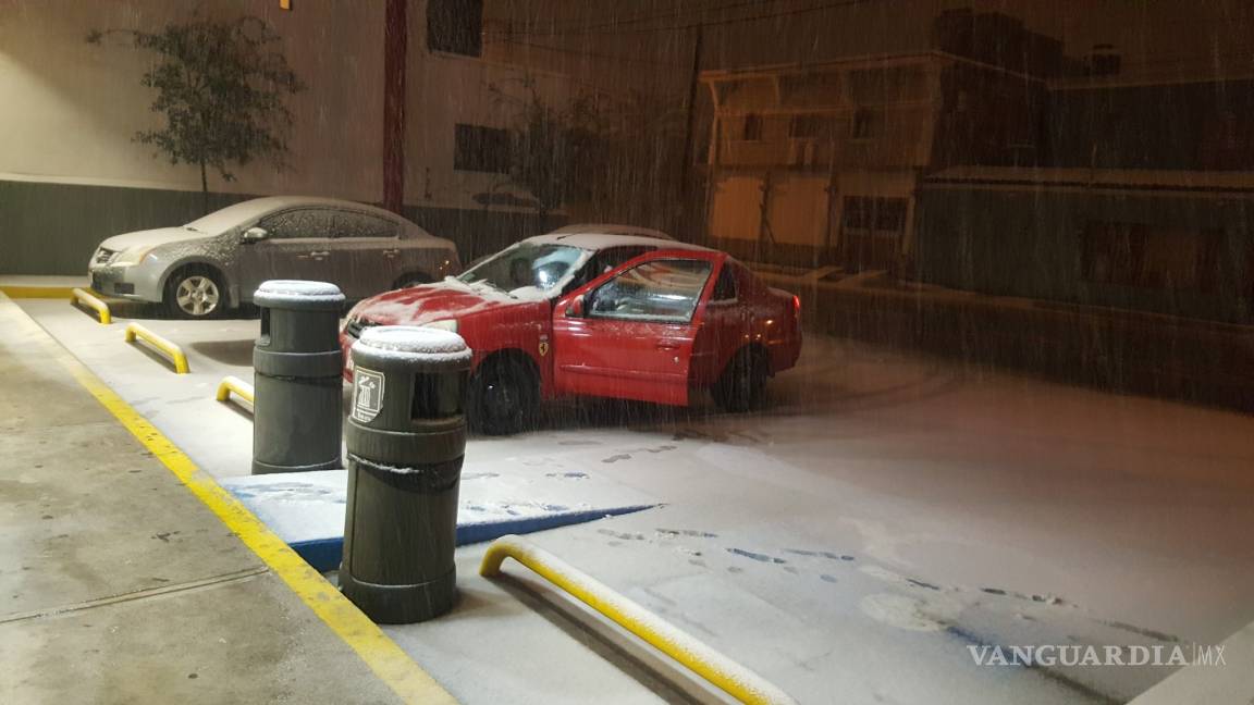 Cae nevada en Monclova, Coahuila