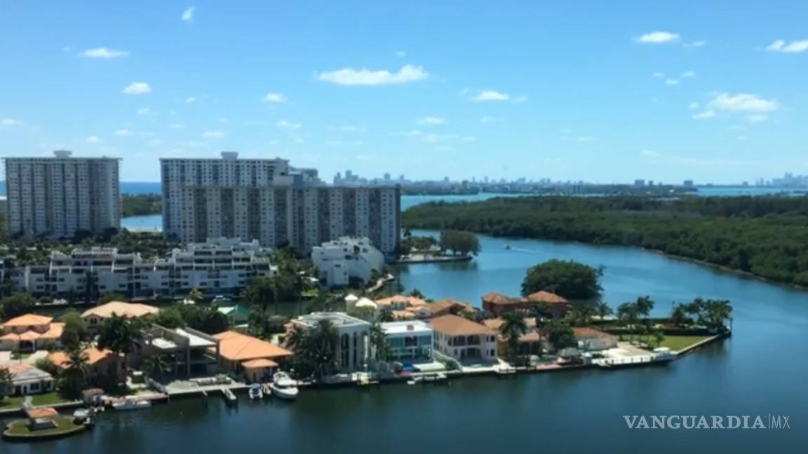 La vista del departamento de Barrales en Miami: delfines, manatíes y seis torres Trump