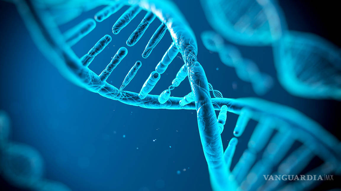 Logran crear ADN sintético; rediseñar el humano, propósito final