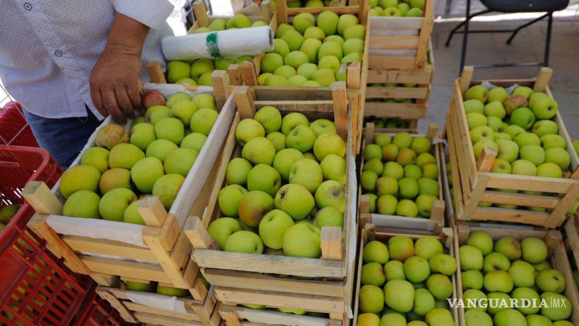 $!Agricultores de Arteaga evalúan los efectos de las condiciones climáticas adversas en sus cultivos de manzana.