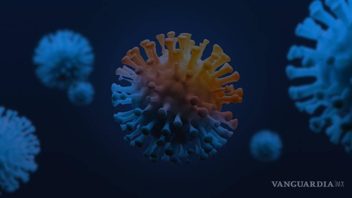 ¿Cómo es que llegan los virus a las células de nuestro cuerpo? Las formas de infección determina si los virus pueden saltar entre especies y desencadenar una pandemia