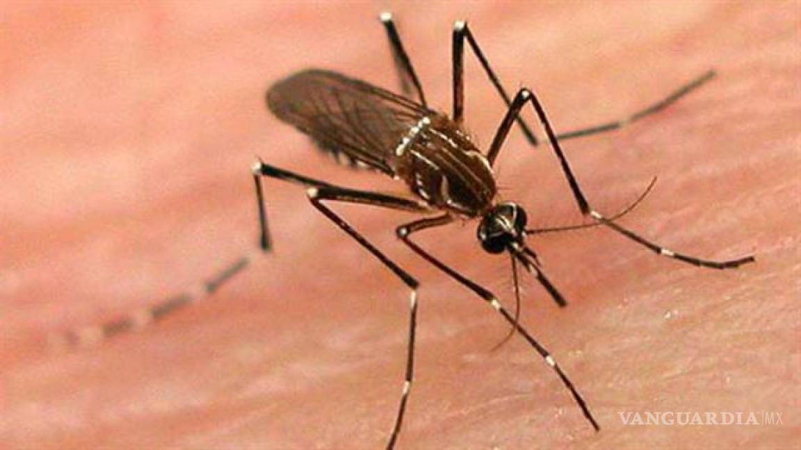 Se disparan 12 veces casos de dengue en Coahuila