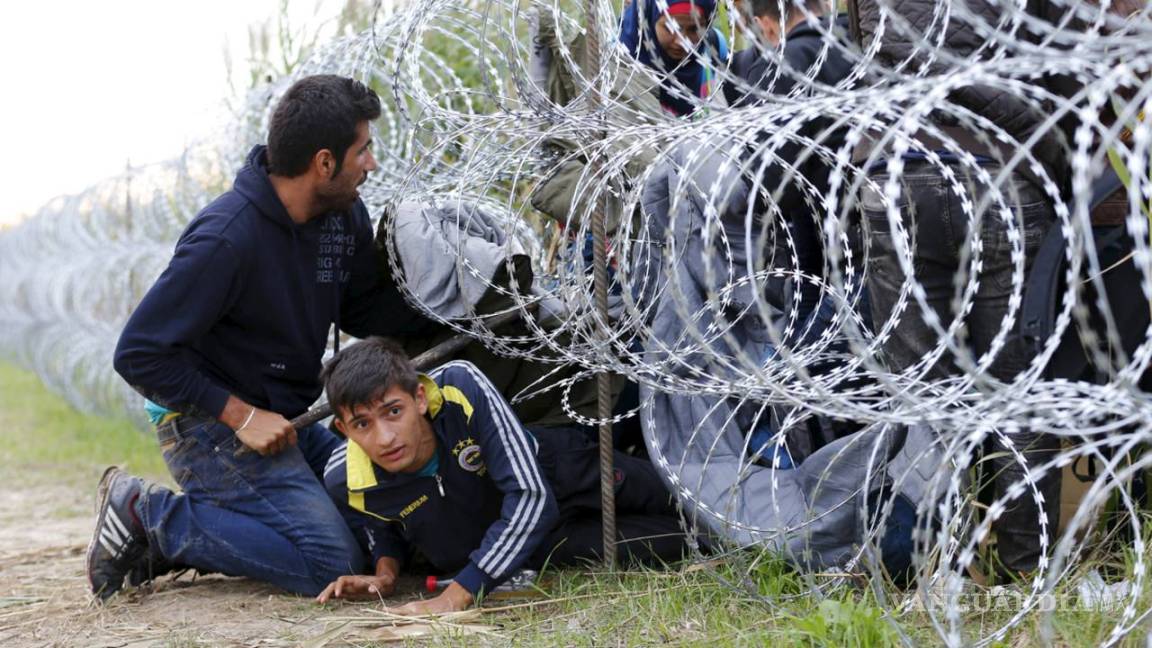 Construye Eslovenia valla para detener flujo de refugiados