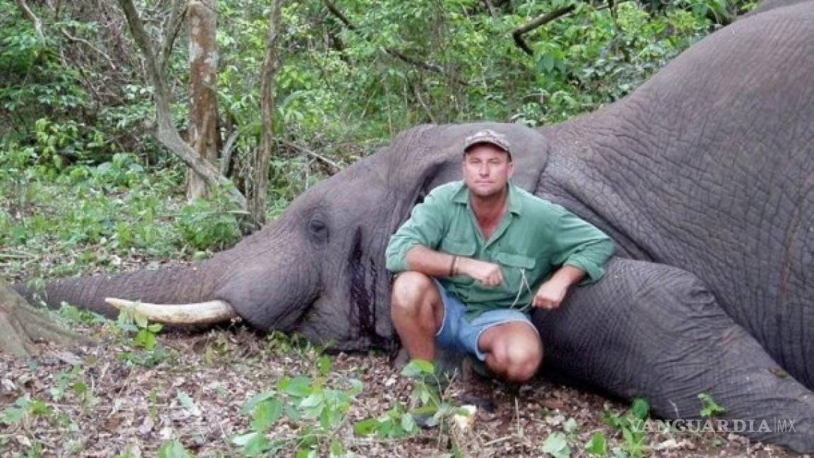 Cazador sudafricano muere aplastado por elefante