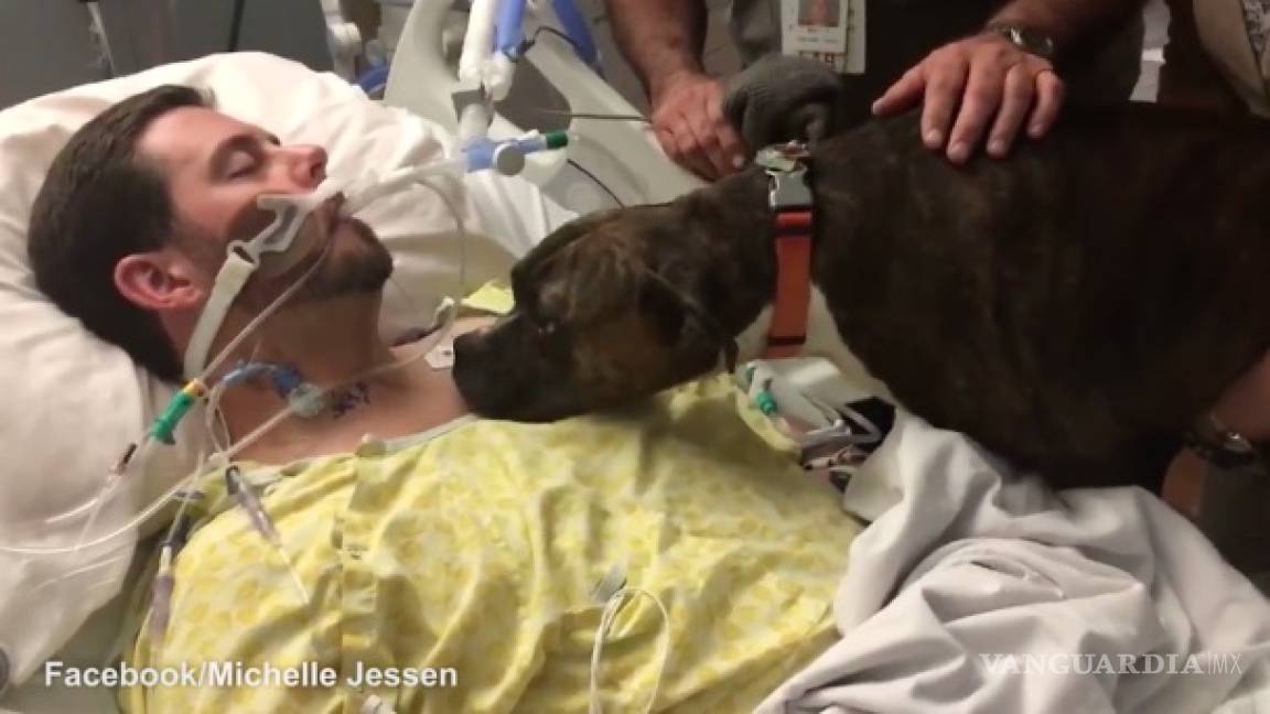 El desgarrador momento en que un perro le da el último adiós a su dueño