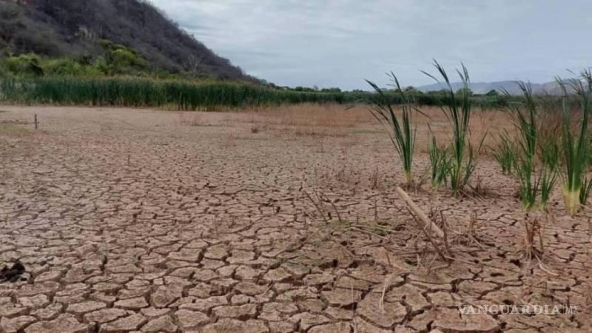 Sufre sequía crítica 70% de Tamaulipas