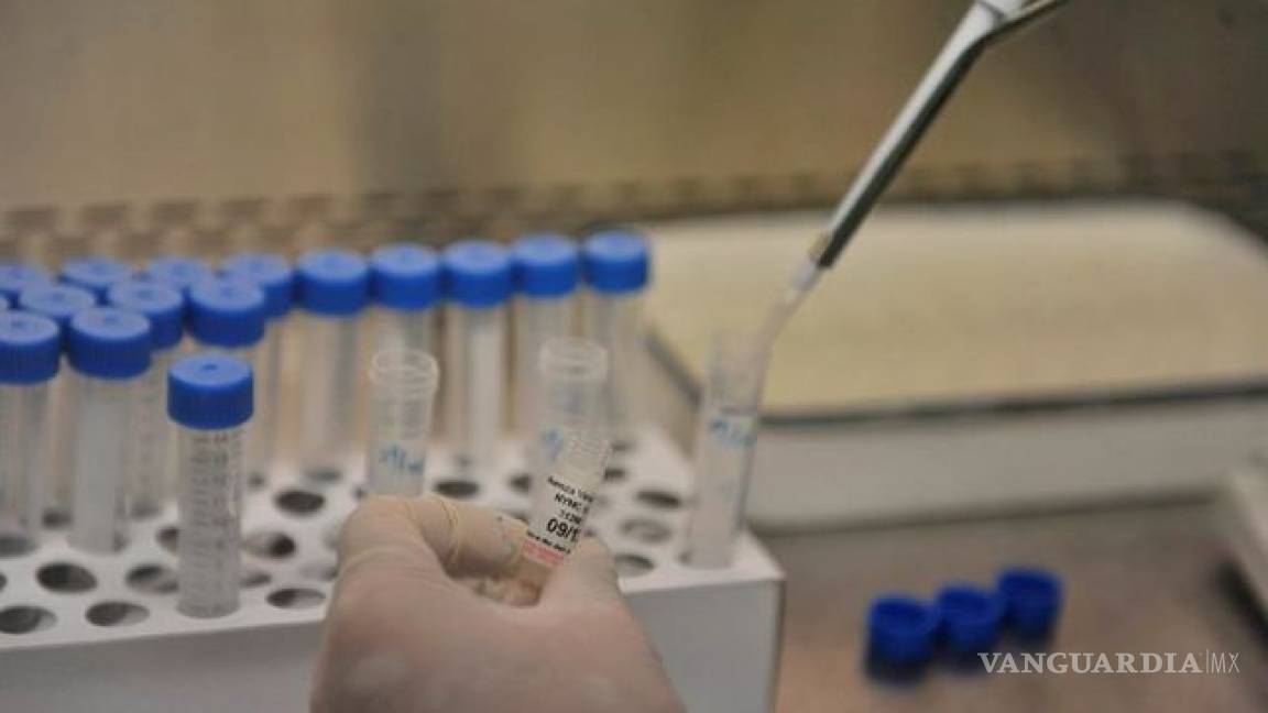 Nueva técnica genética que genera células sanas podría curar la hepatitis B