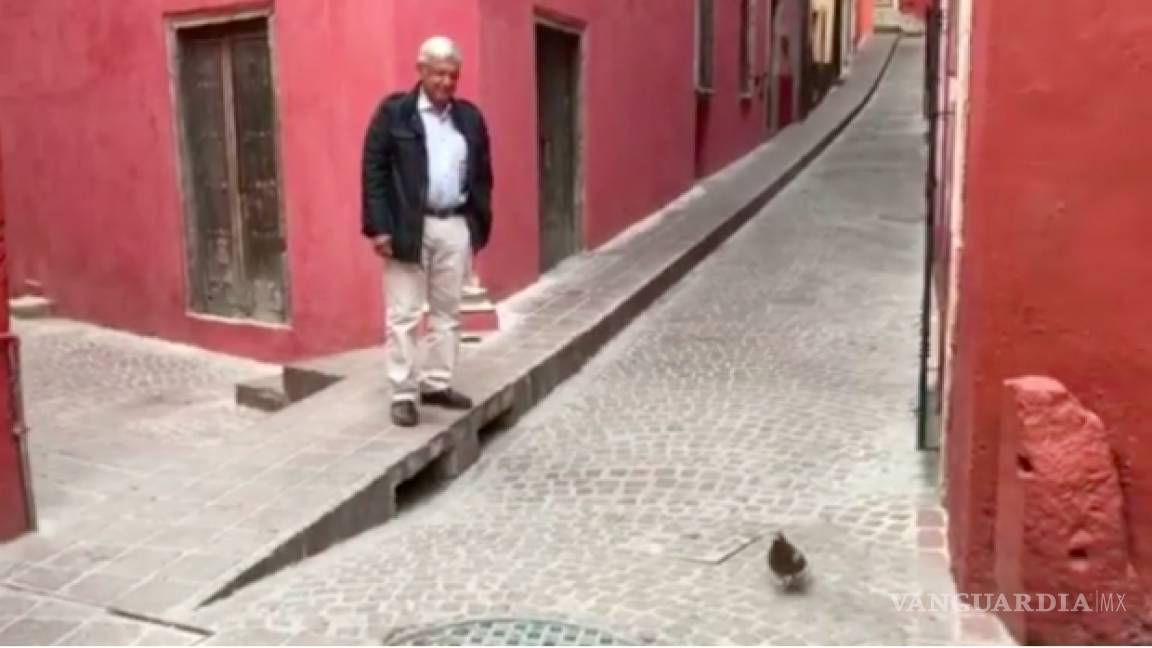 López Obrador persigue una paloma en calles de Guanajuato
