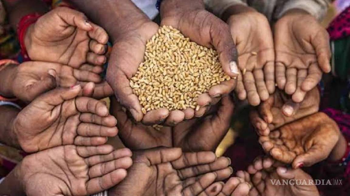 ONU: habrá escasez alimentaria durante los próximos 8 años