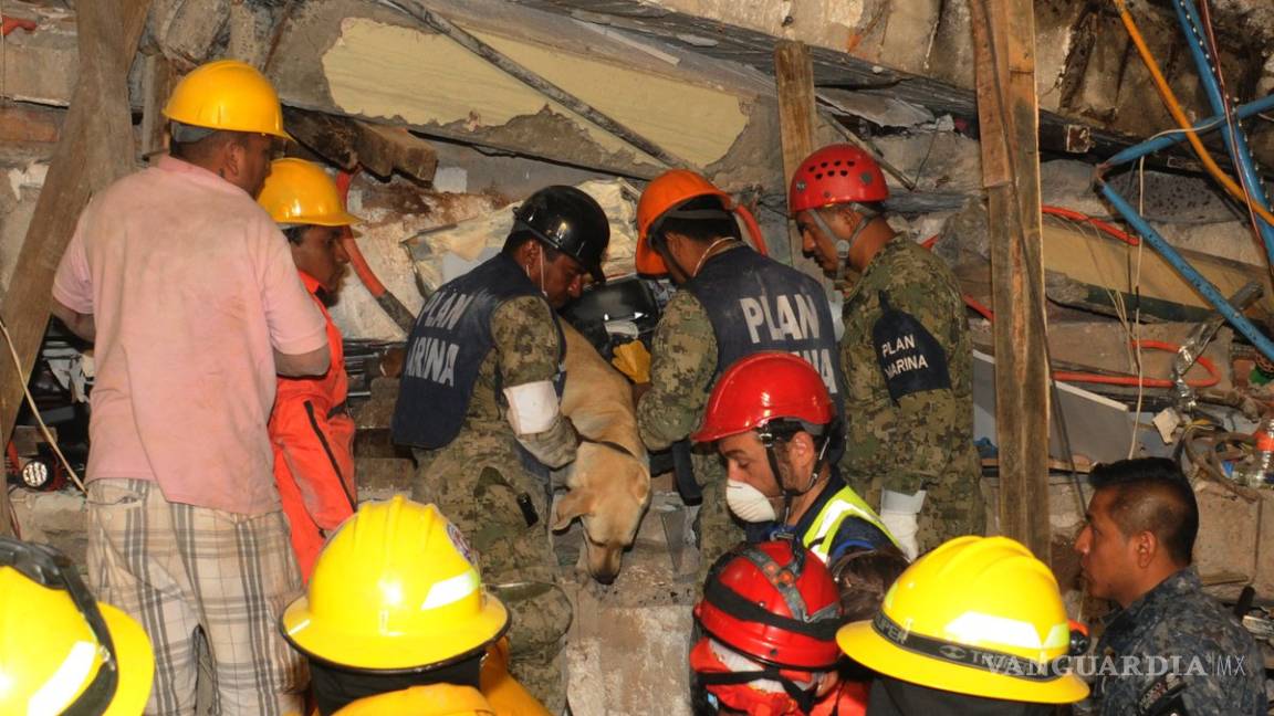 Semar ha rescatado a 115 víctimas del sismo de magnitud de 7.1