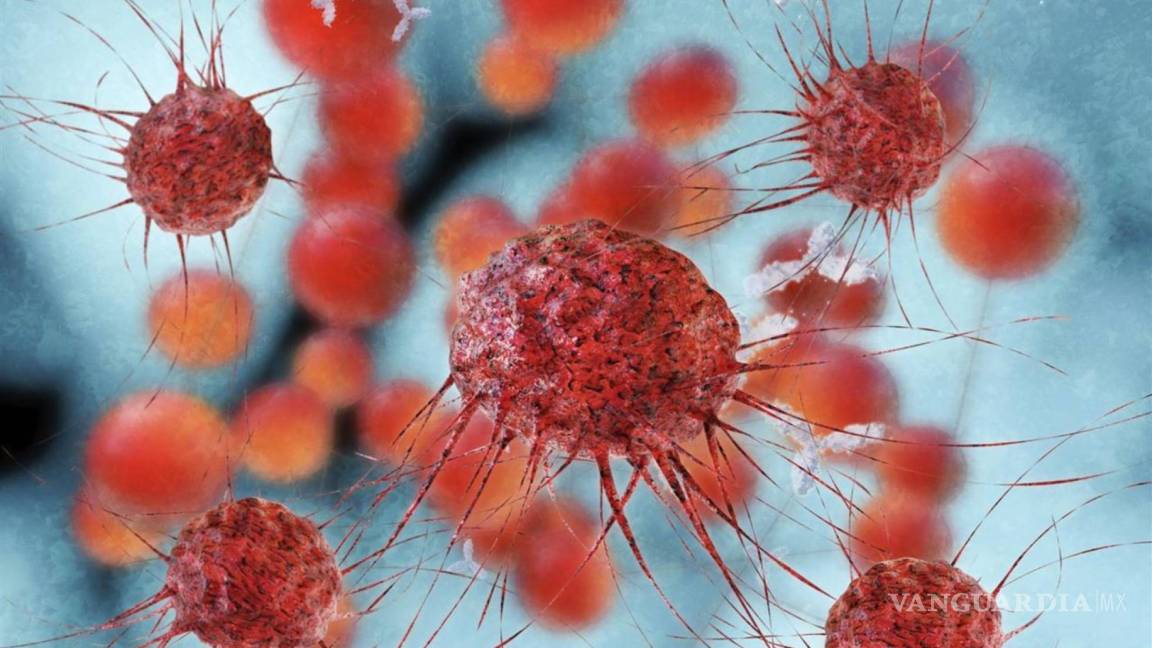 La inmunoterapia es mejor que la quimio en tumores de vejiga avanzados