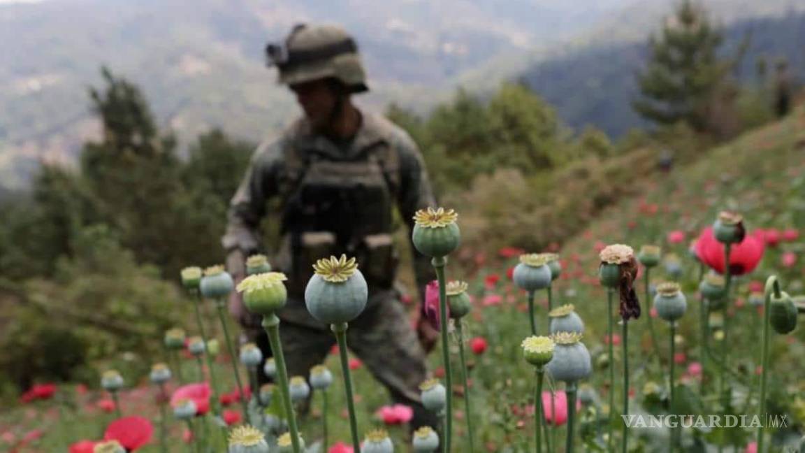 México es tercer lugar mundial en producción de opio