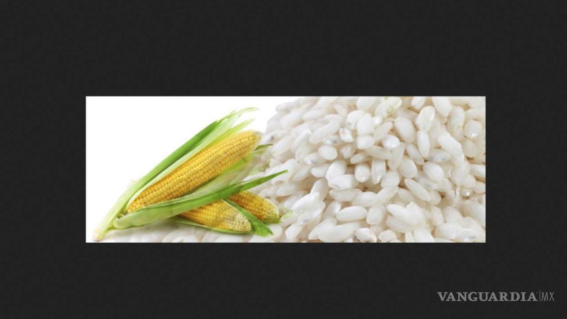 Hallazgo de un gen en cereales abre la puerta a mejorar el arroz y el maíz