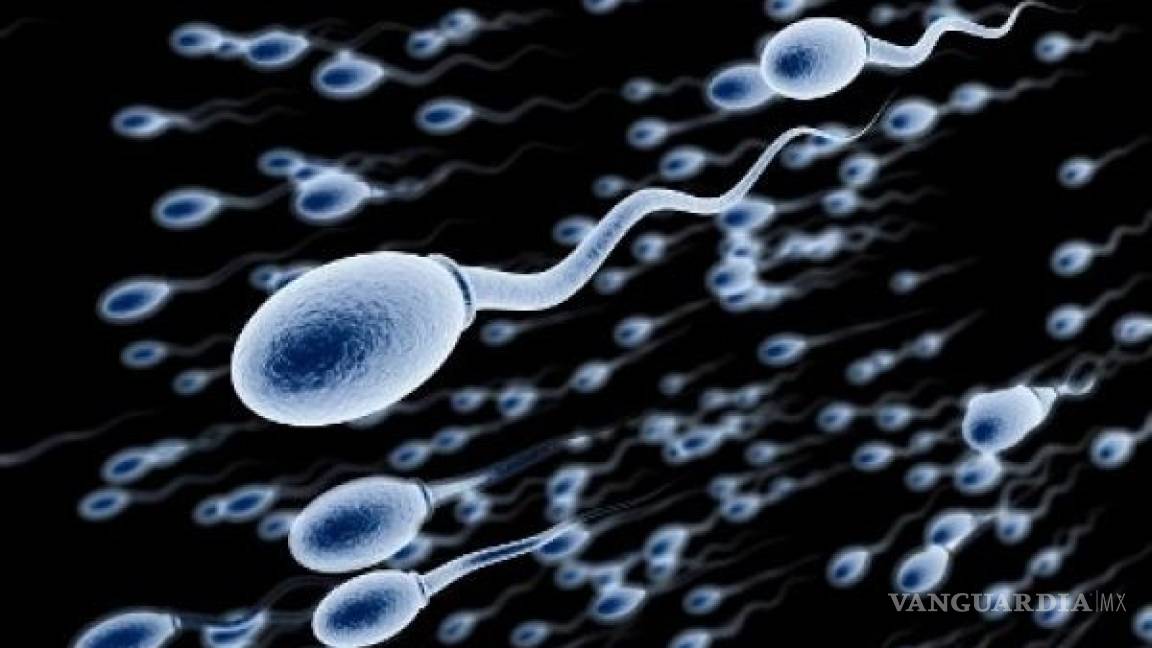 Población occidental produce 50% menos espermatozoides