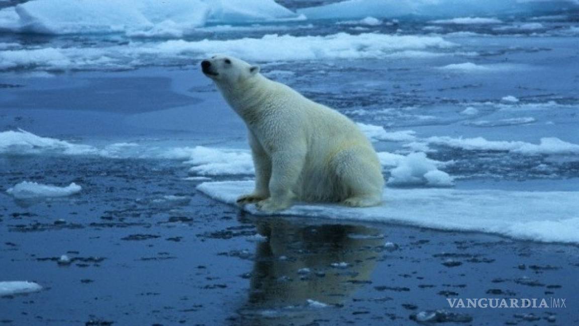 El Ártico podría quedarse sin hielo marino en 20 o 30 años