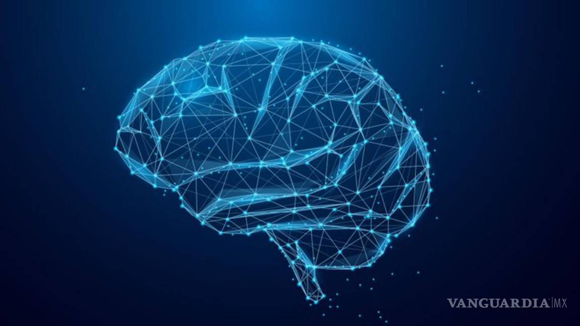 ¡Asombroso!, científicos de la iniciativa BRAIN crean un “atlas” de células cerebrales, posibilitará curar trastornos mentales