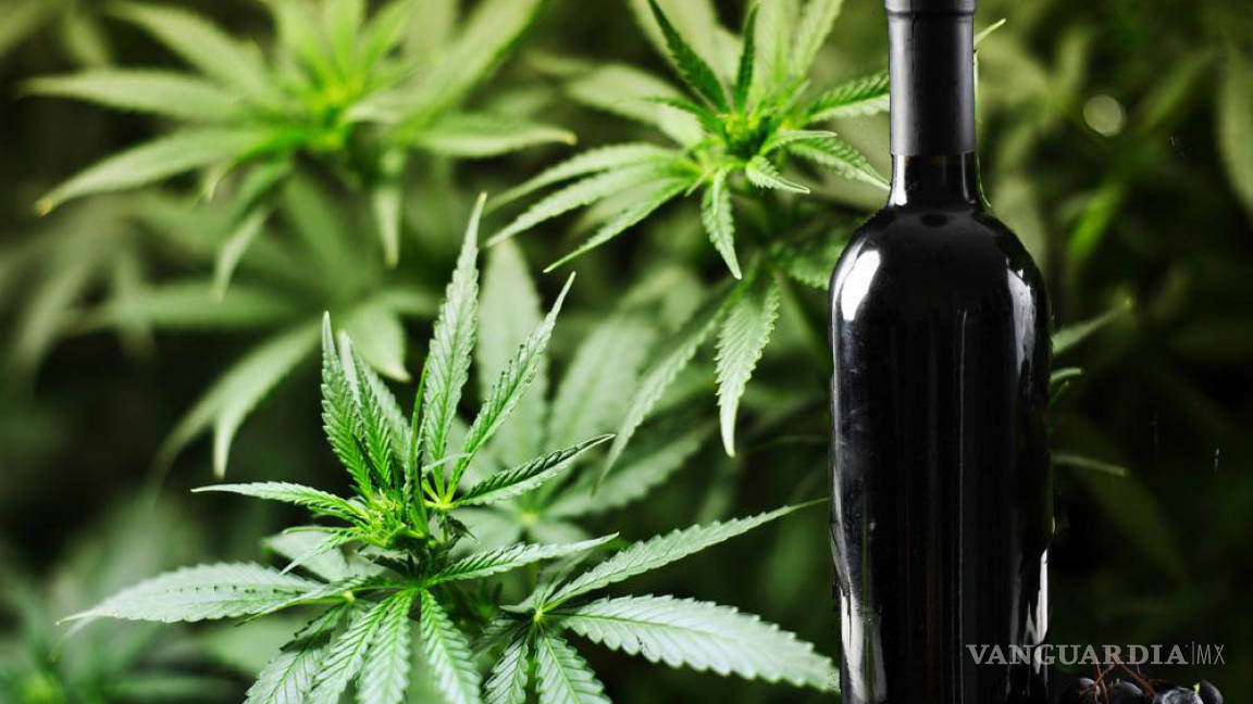 ¿Vino o mariguana?, Los vinicultores de California temen al cannabis