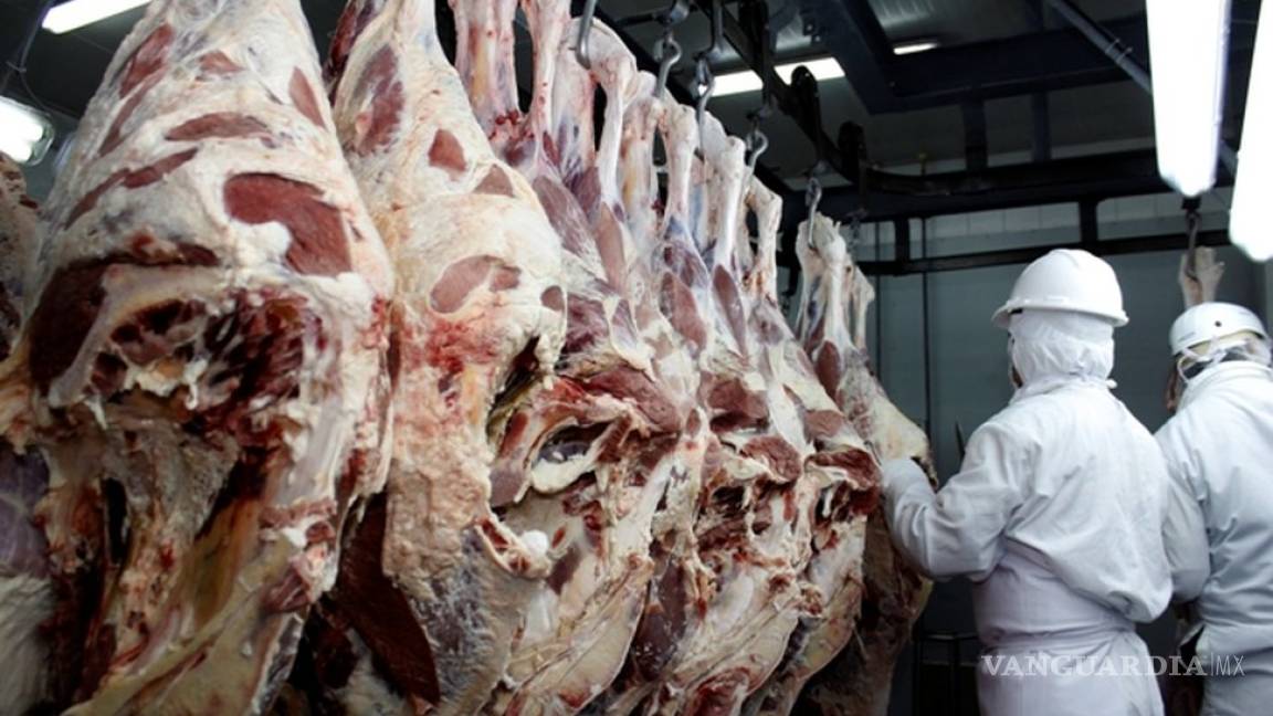 Carne podrida en Brasil, lo que hay que saber