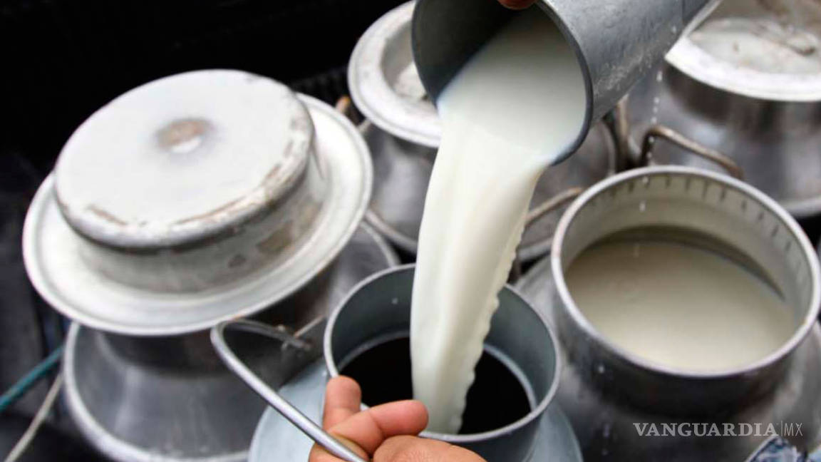 Productores de leche, con pérdidas de al menos 15 mil mdp