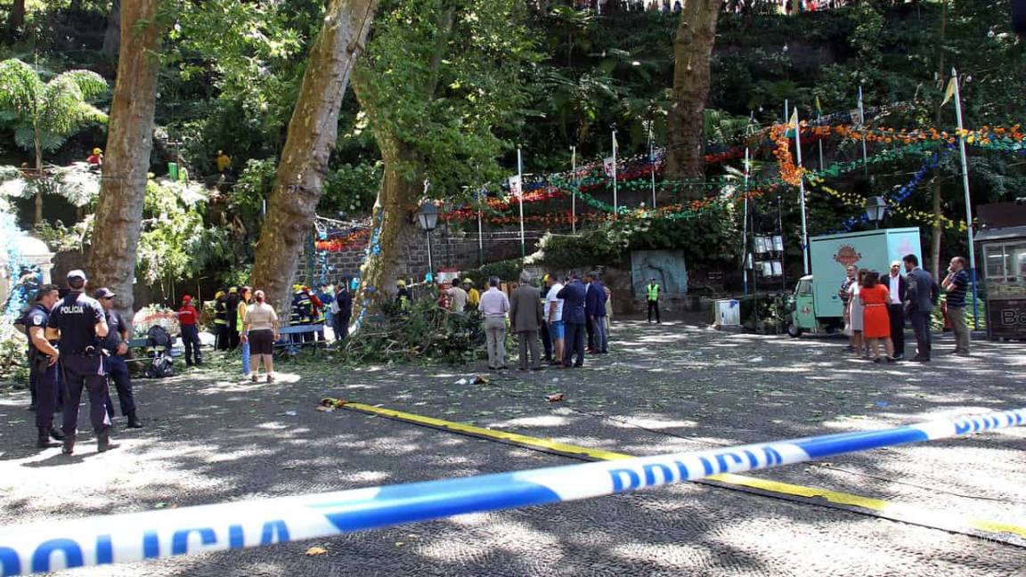 Cae un árbol y mata a 13 personas en isla de Portugal
