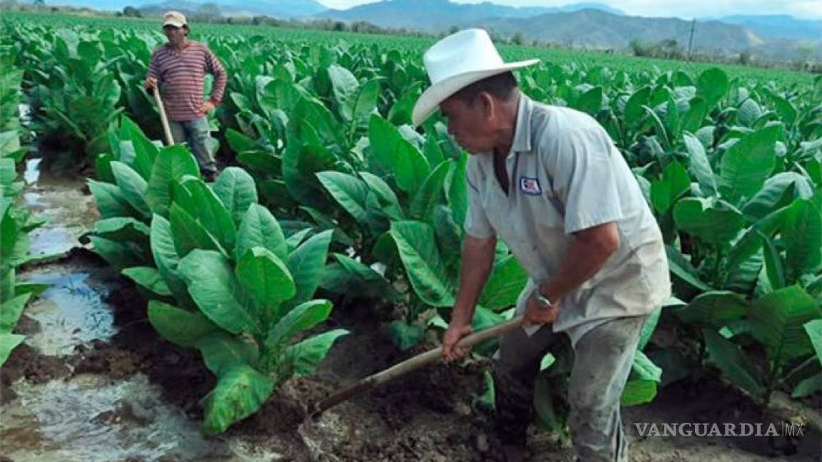 EU ve posible un intercambio con Cuba en el sector agrícola