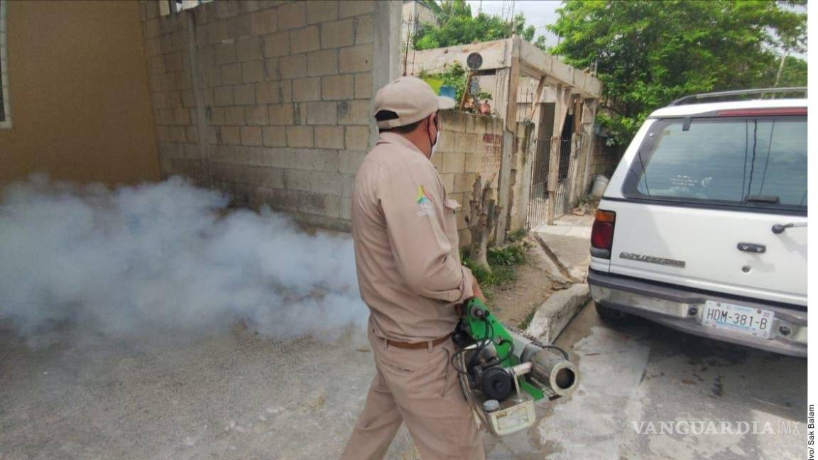 Repuntan casos y muertes por dengue en México