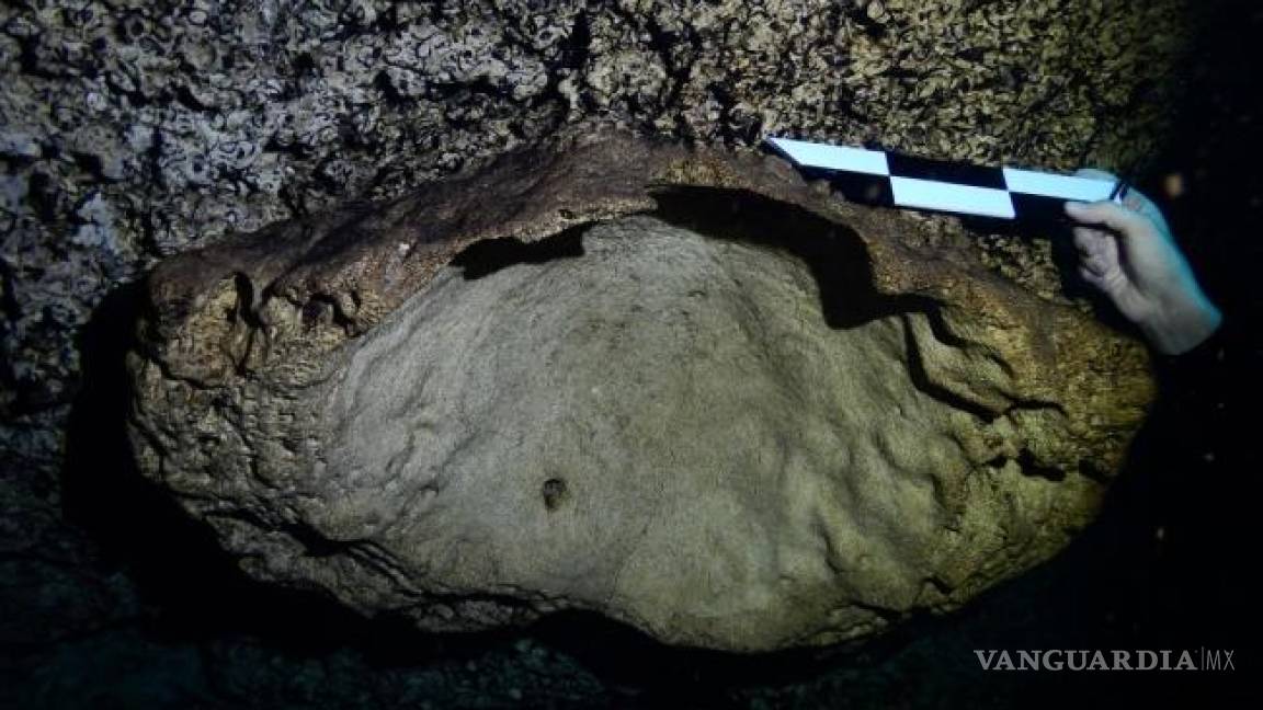 Hallan fósil de 23 millones de años en cenote de Mérida