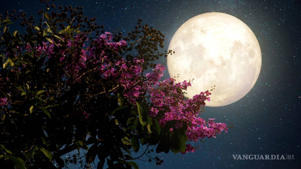 ¿Qué es la Luna llena de las flores?... la última superluna que 2020 se podrá ver en México