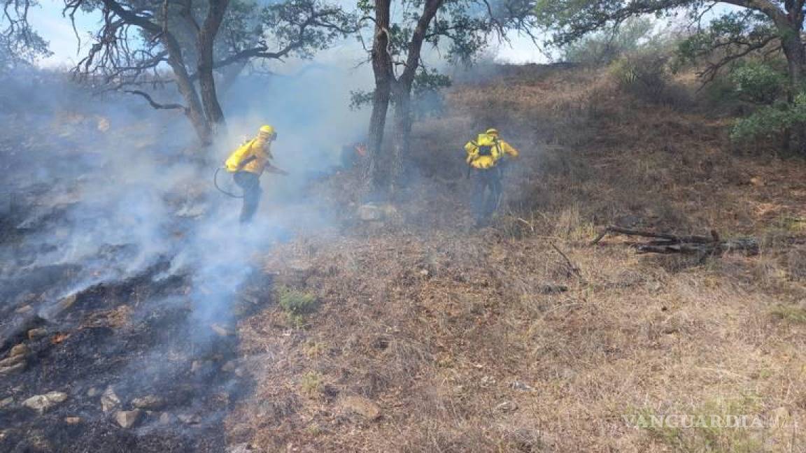 Contabilizan 7 mil hectáreas afectadas por incendios forestales en