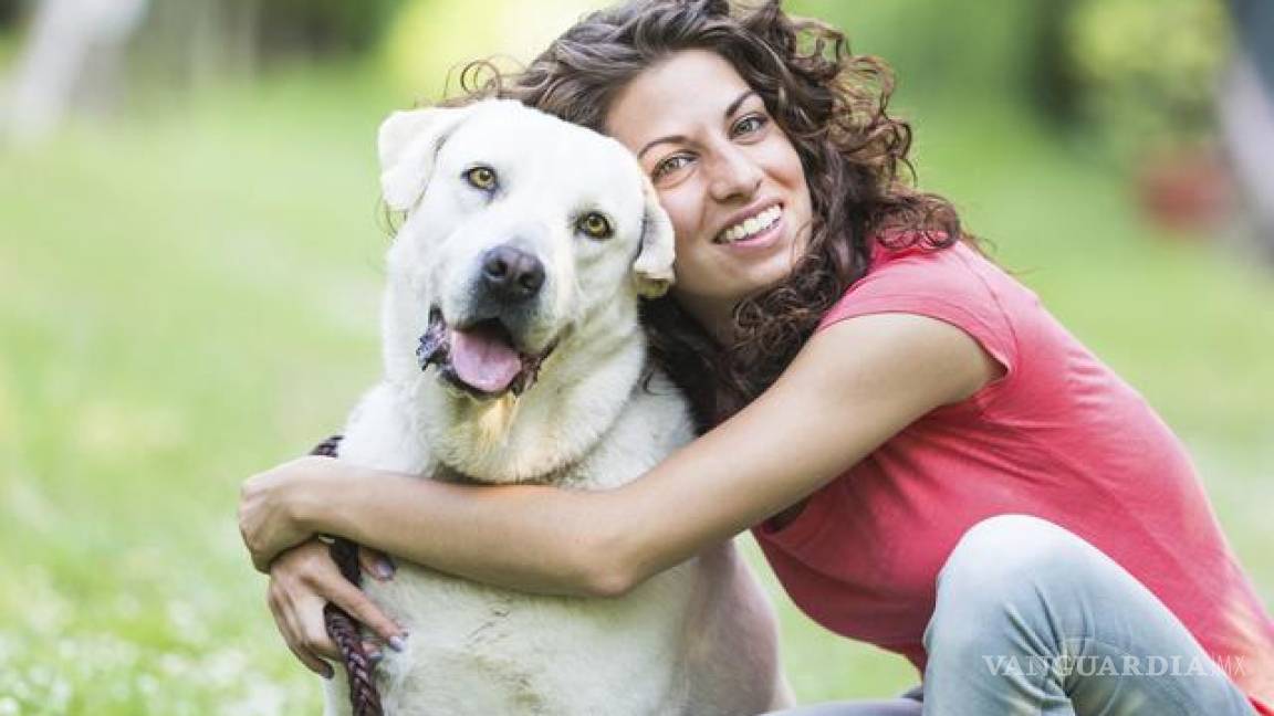 'Un perro es una propiedad, no son hijos': juez a mujer que pidió trato especial para sus mascotas en un divorcio