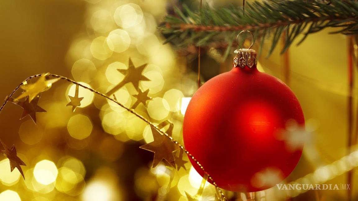 Decoración navideña: 10 adornos tóxicos que debes evitar