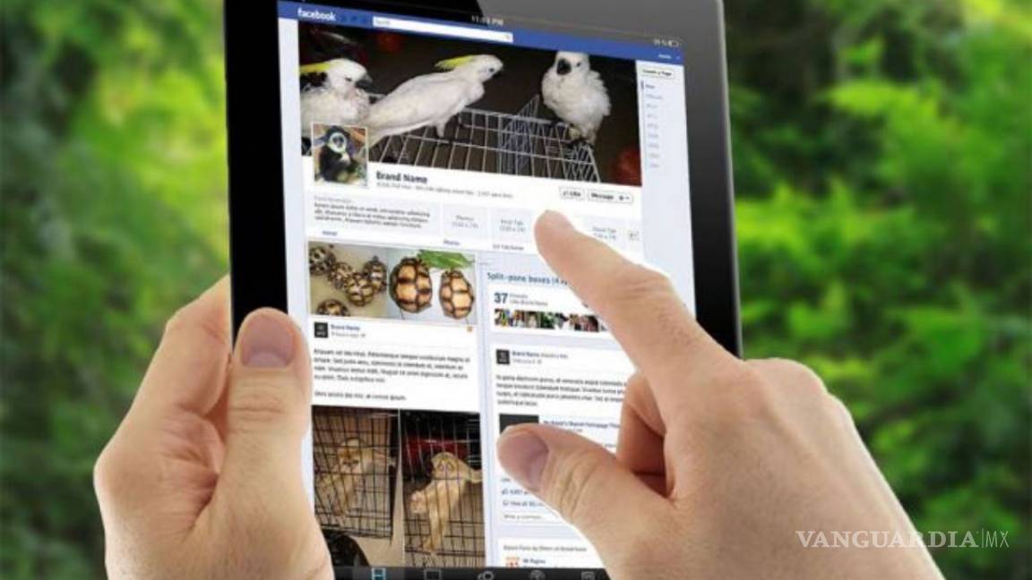 Facebook es un nuevo mercado de abastos para el contrabando de animales