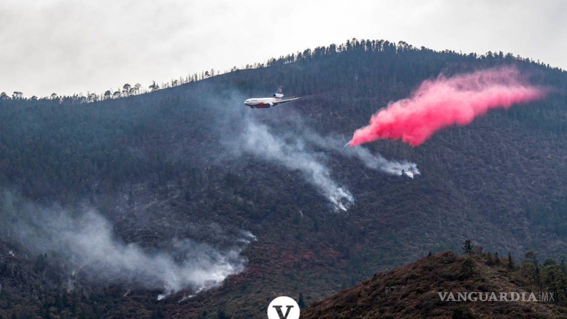 Con la ayuda de un avión DC -10 controlan el incendio en Arteaga (fotos)
