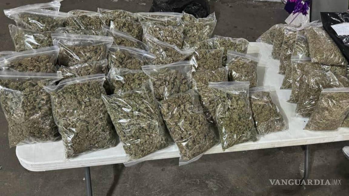Aseguran 20 kilos de marihuana en la colonia Mirasierra, en Saltillo