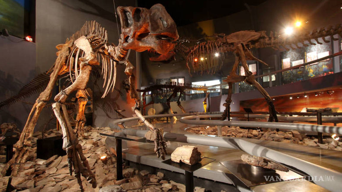 Extinción de dinosaurios inició antes del meteorito