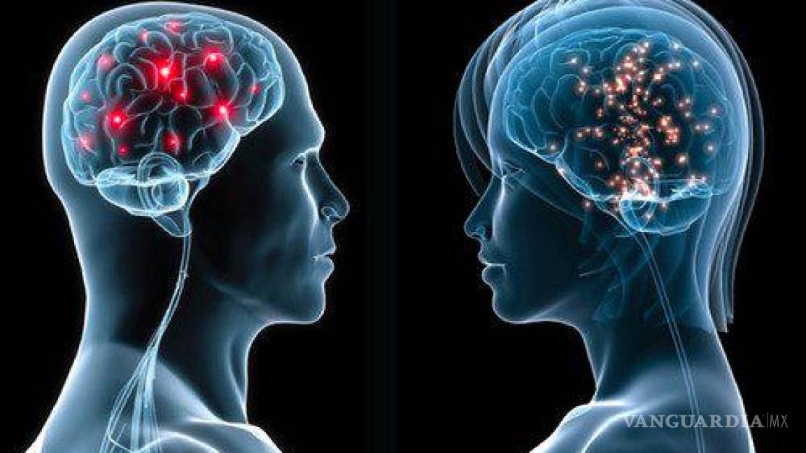El cerebro de los hombres es más grande, pero el de las mujeres más eficiente