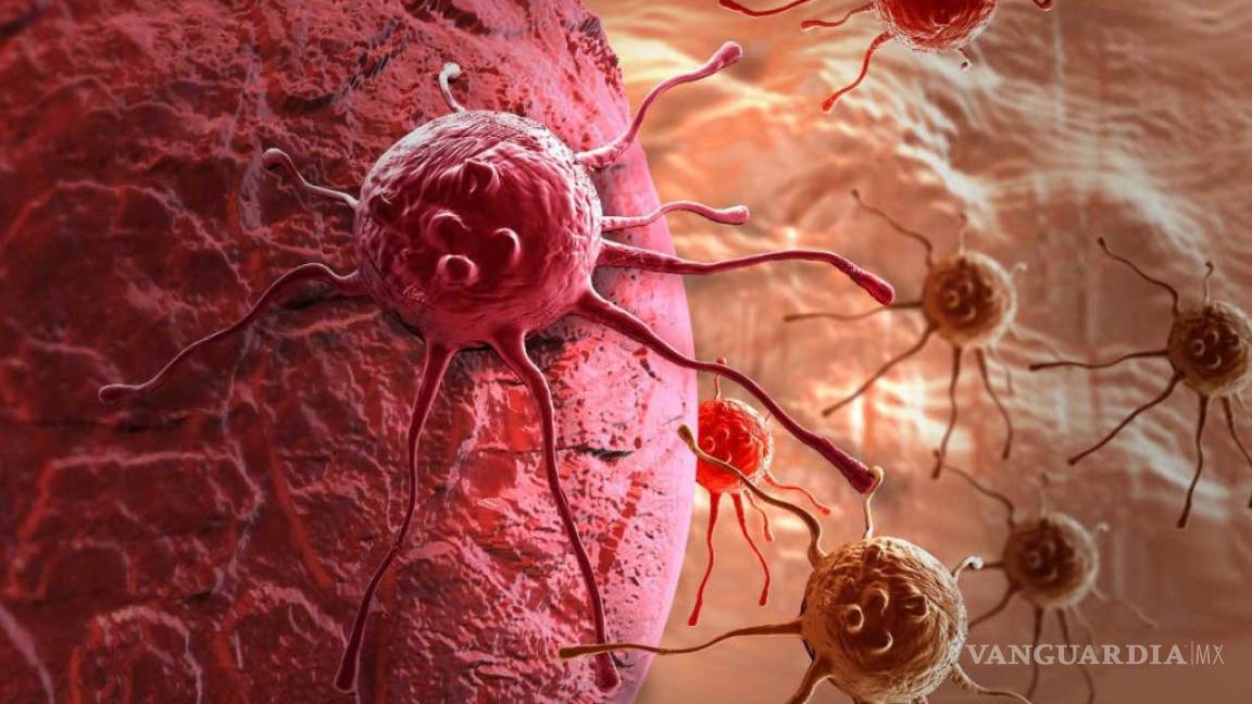 Hallan nueva forma de frenar crecimiento de células cancerosas