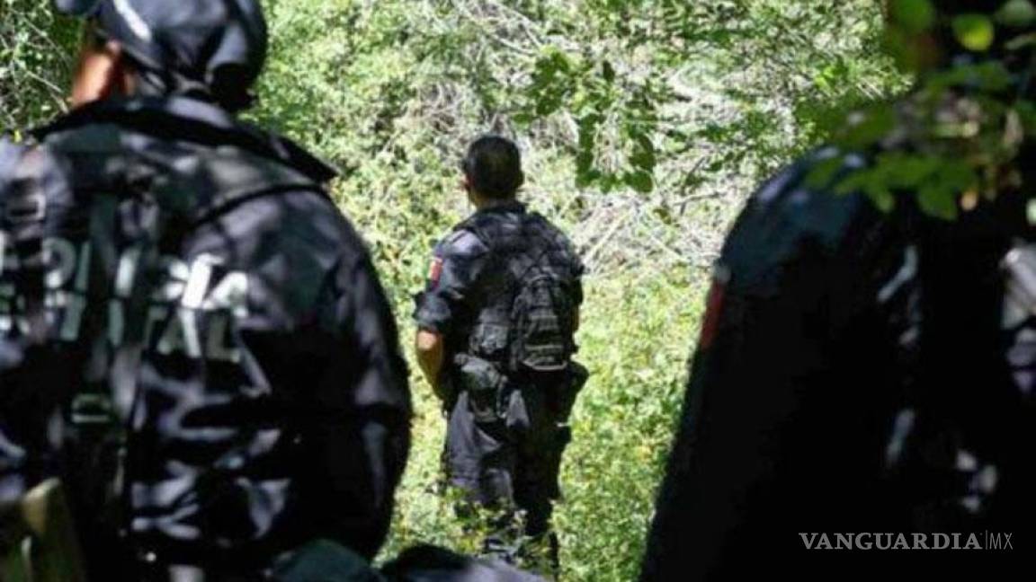 Eurocámara condena las desapariciones forzadas y crímenes en Iguala