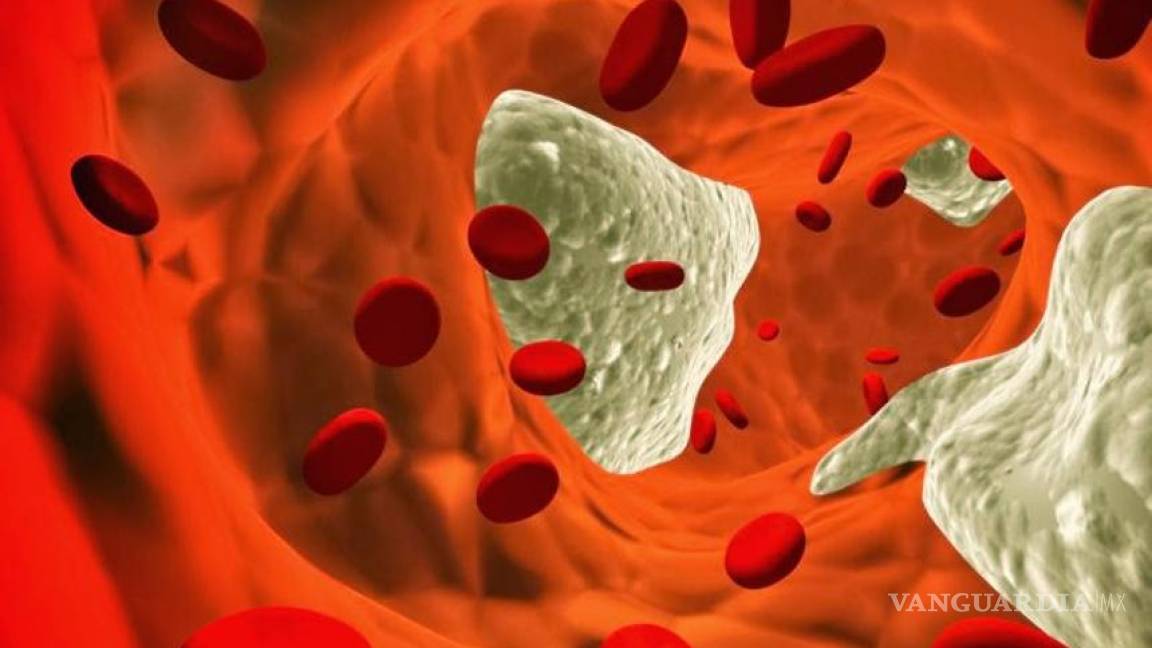 Diseñan universitarios pulsera para detectar colesterol y triglicéridos en sangre