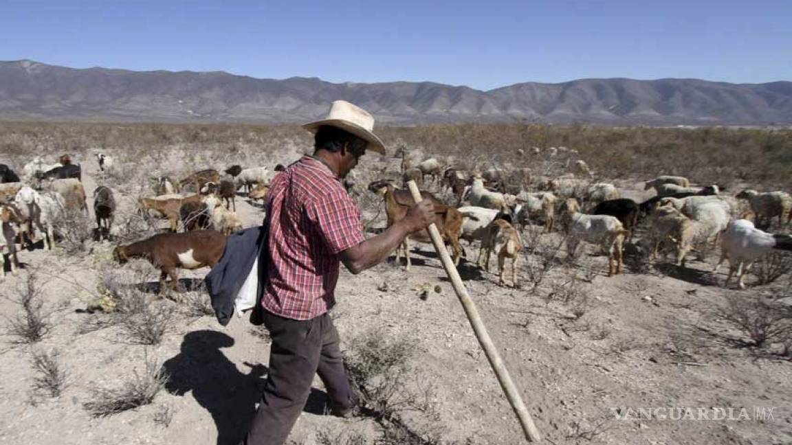 22 municipios de Coahuila solicitan ayuda ante estragos de la sequía