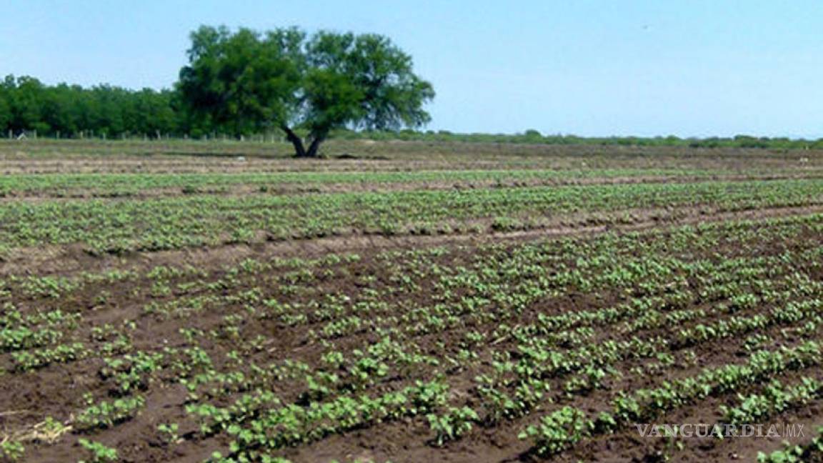 Más de 3,200 mdp se invierten al campo de Coahuila