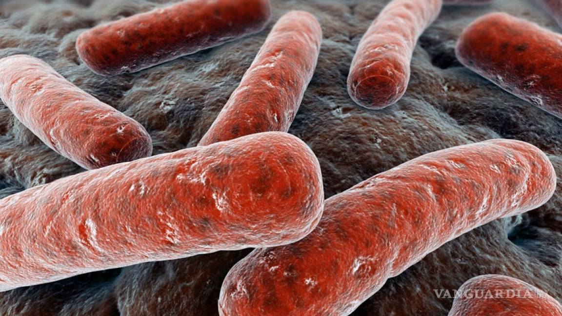 No es sólo el ébola; la tuberculosis sigue imparable: OMS