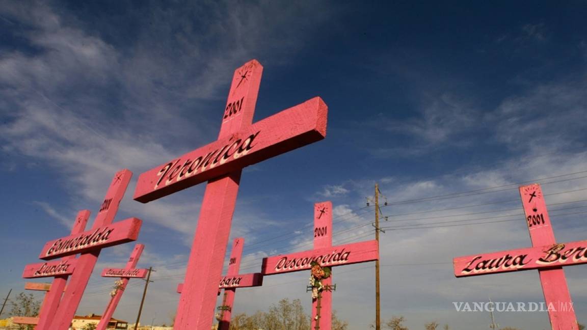 En Chihuahua, 727 feminicidios entre 2010 y 2014, afirman ONG