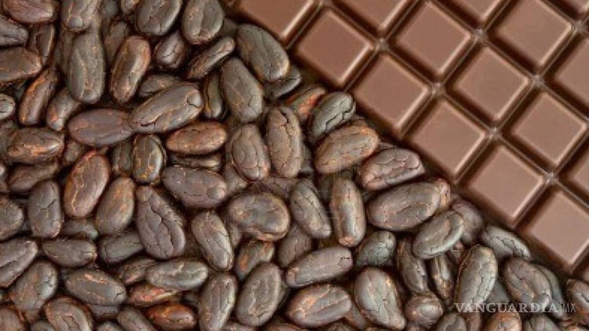 Componente del cacao evita piedras renales de ácido úrico